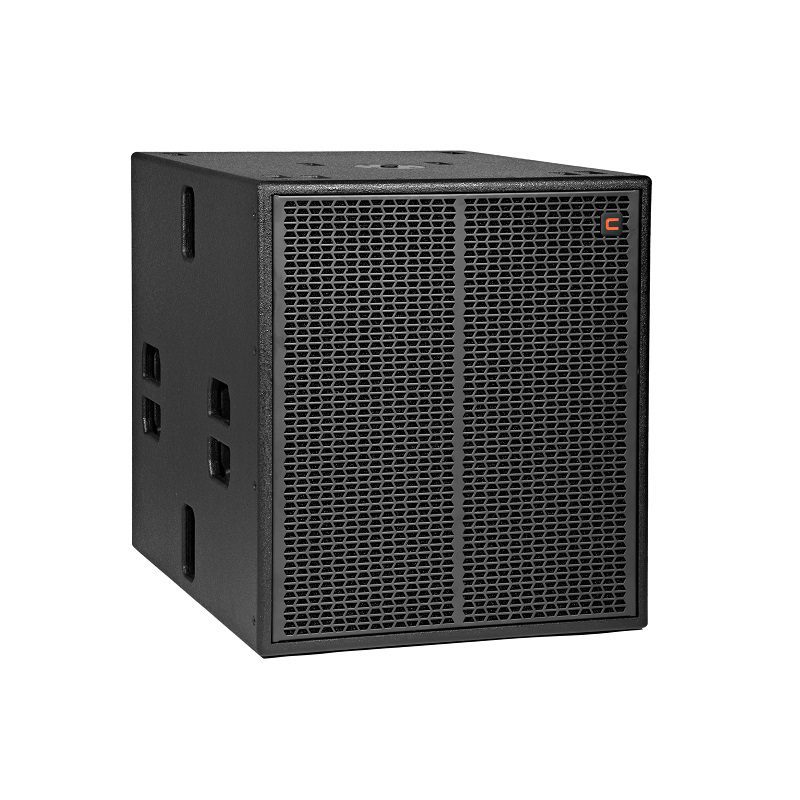 Celto Acoustique CSW118